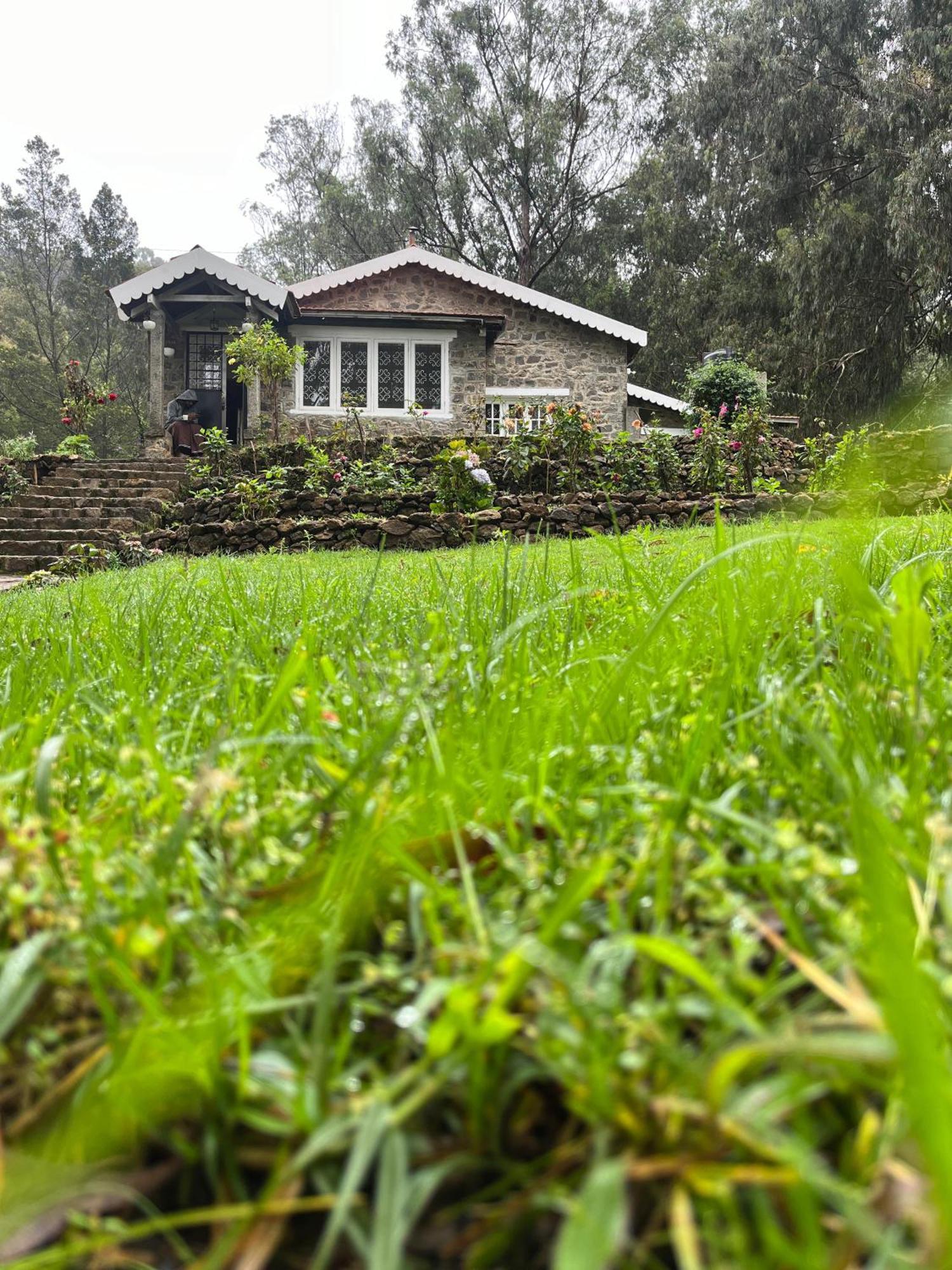 Springdale Villa 科代卡纳尔 外观 照片